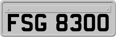 FSG8300