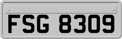 FSG8309