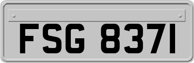 FSG8371