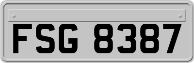 FSG8387