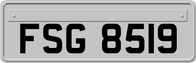 FSG8519