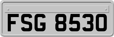 FSG8530