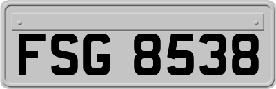 FSG8538
