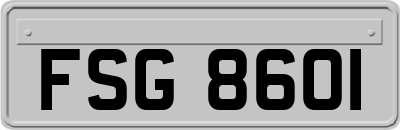 FSG8601