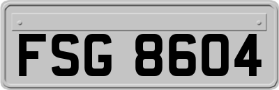 FSG8604