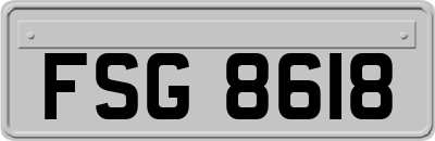 FSG8618