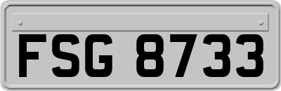 FSG8733
