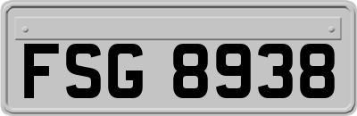 FSG8938