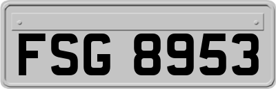 FSG8953