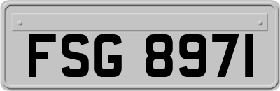 FSG8971