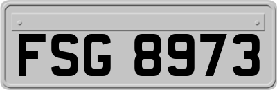 FSG8973
