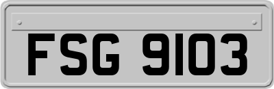 FSG9103