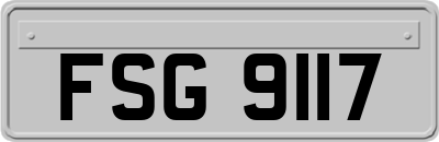 FSG9117