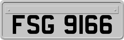 FSG9166