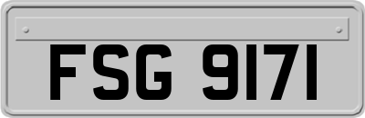 FSG9171
