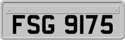 FSG9175
