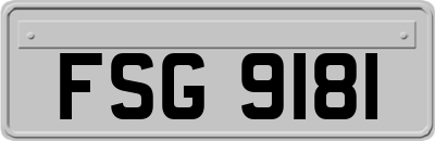 FSG9181