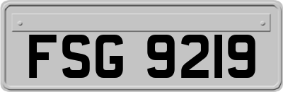 FSG9219