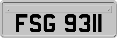 FSG9311
