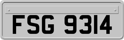 FSG9314