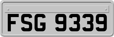 FSG9339