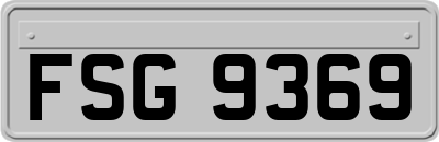 FSG9369