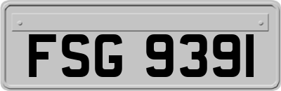 FSG9391