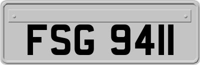 FSG9411