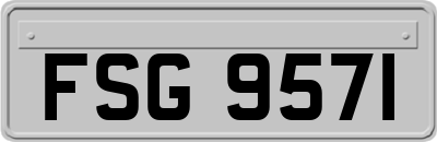 FSG9571