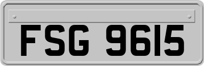 FSG9615