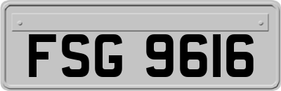 FSG9616