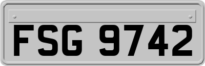 FSG9742
