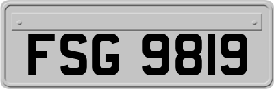 FSG9819