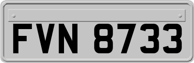 FVN8733