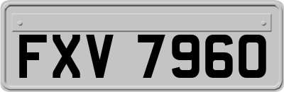 FXV7960