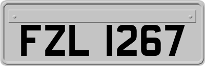 FZL1267