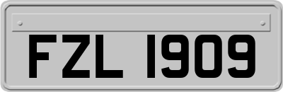FZL1909