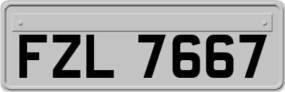 FZL7667