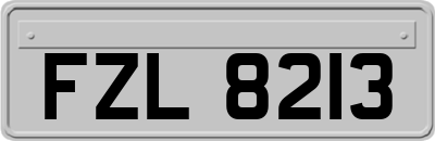 FZL8213