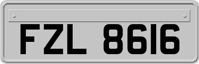 FZL8616