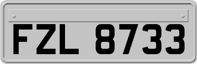 FZL8733