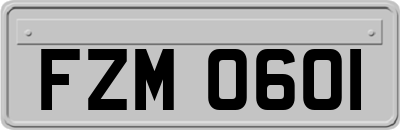 FZM0601