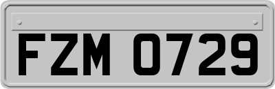FZM0729
