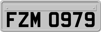 FZM0979