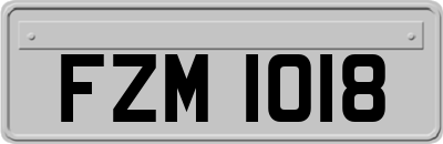 FZM1018