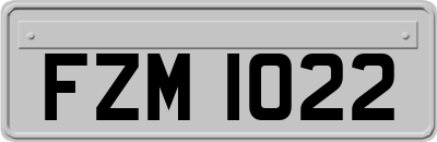 FZM1022