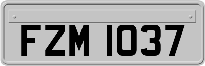FZM1037