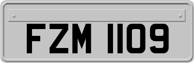 FZM1109