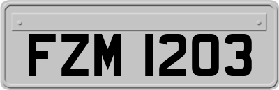 FZM1203