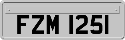 FZM1251